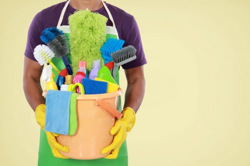 Professional mattress cleaning service for homes in Shepherds Bush