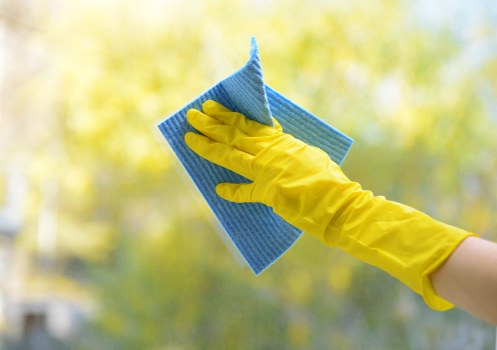 Waste handling and service terms for a cleaning appointment