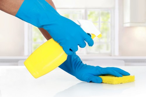 Professional upholstery cleaning for sofas in Shepherds Bush homes