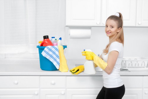 Regular house cleaning service in Shepherds Bush
