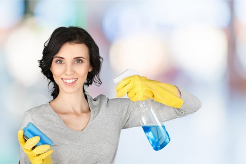 Upholstery cleaning visit for a sofa in a Shepherds Bush property