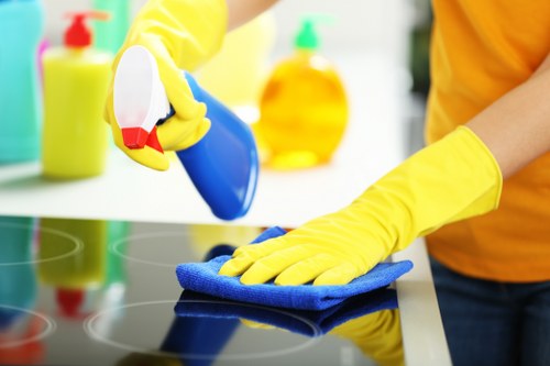 Deep cleaning upholstery in a Shepherds Bush flat or apartment