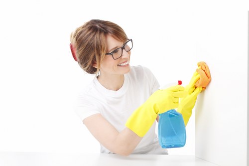 Bathroom cleaning as part of end of lease cleaning in Shepherds Bush