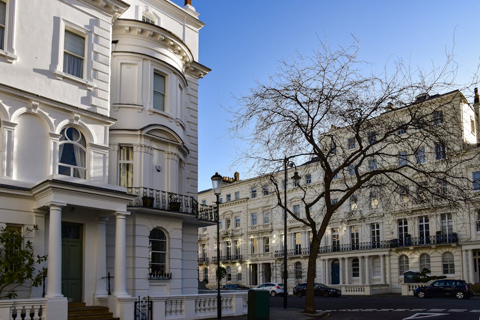 Exterior view of a row of white, multi-story residential buildings with ornate architectural details, including decorative cornices and pillars, situated on a street with parked cars and a leafless tree in the foreground. The scene is illuminated by daylight, with clear blue skies overhead. Shepherd's Bush Cleaners provides expert domestic and commercial cleaning, including end of tenancy cleaning services for properties like these, ensuring surfaces such as windows, facades, and balconies are thoroughly cleaned and maintained.
